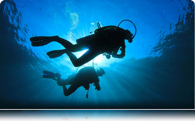 immerisoni-isola-d-elba-tauchen-insel-elba