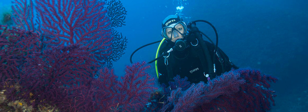 diving-center-pianosa-immersioni-isola-d-elba-05