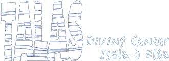 Talas Diving Center - Isola d'Elba - Elba Diving - Diving Elba - Immersioni Isola d'Elba - Tauchschule Elba - Elba Tauchen - Corsi Sub Elba