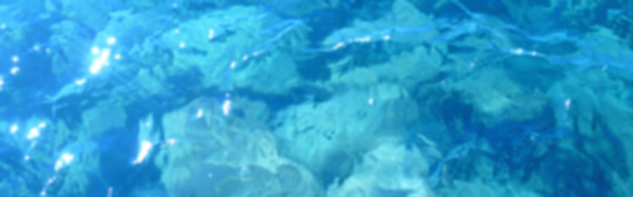 slide2-bg-immersioni-elba-diving-center-diving-in-elba
